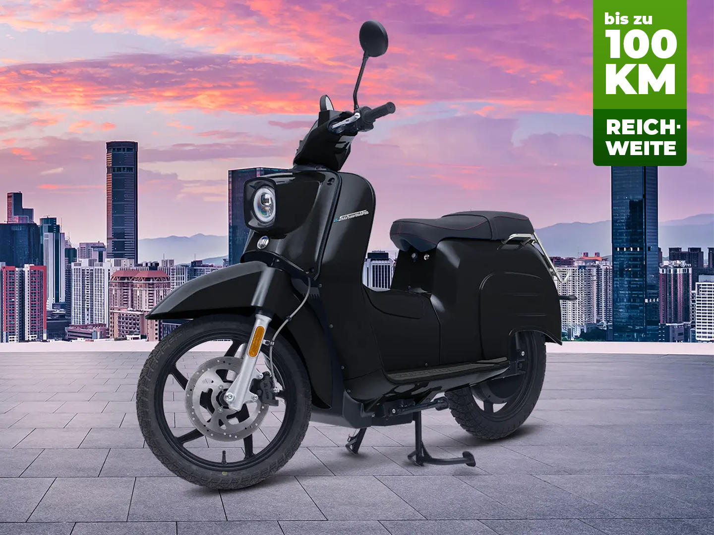 eSchwalbe 50er - LIMITED Black Edition 45 km/h 100% Elektrisch