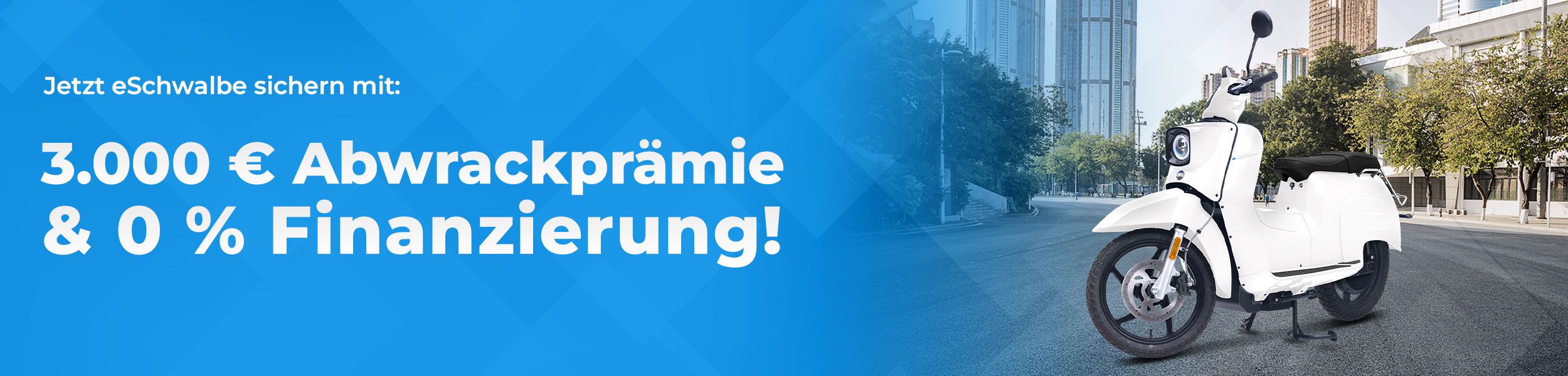 Jetzt eSchwalbe sichern – mit 3.000 € Abwrackprämie & 0 % Finanzierung!