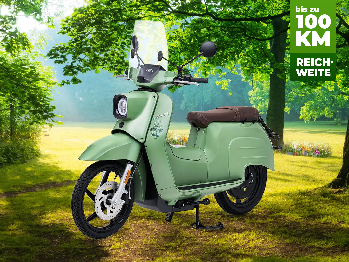 eSchwalbe 50er - Wanderlust 45 km/h 100% Elektrisch